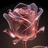 zahid.sami65