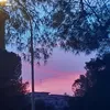 lauradan.20