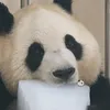 Góc nhỏ đáng yêu