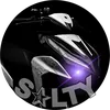 saltys0n