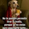 edgar_1331