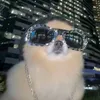 bajbn_pico