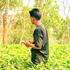 tanber838