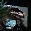 rose_scullion23