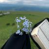 ekhlaas_2004_alnayf