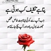 abdul.razzaq5361