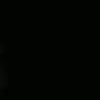 gull_xanm0025