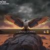 user1216848781335