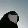 laifinds_21