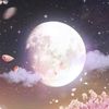 candykrush11
