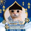 user43010382