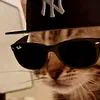 iifkcat