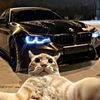 adriannoroque8
