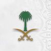 محمد عسيري