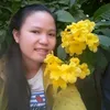 bch.ngc.h.l