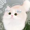 princess_roblx143