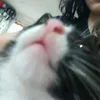 nuni_lovemycat