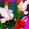 user4759595282045
