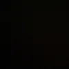 wille_________