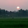 ridwan._hasyim