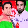 farahd.v