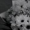 aisywhd11
