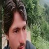 shahwali55441