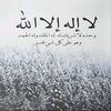 ziad_mad_