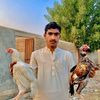 asifalirind273