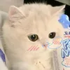emthichhellokitty46