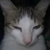 soaicahuuthanhtvt