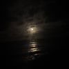 iris_e8