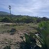 villagomez742