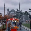 barjoundz01