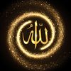 mumtaz.hasan1