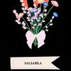 salsabila.syakien2