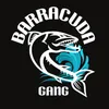 Barracuda_gang