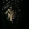 riadh_benbelkacem