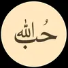 ah_a085