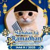 muhammad.mikail39