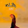 user6650060549682tayyab