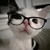 albinoska_0