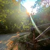 lorenzoo_34247