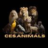 ces.animals