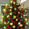 flor.perez937