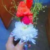 user97328737475185