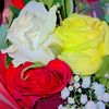wateen0971