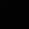 pfaul13