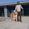 patrak47