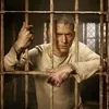 ali.amjad02